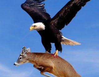 Xukuumadda Somaliland oo ka hadashay Gorgorka dilaaga ah