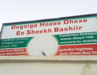 UCID Party discloses illegal land grabbing in Hargeisa