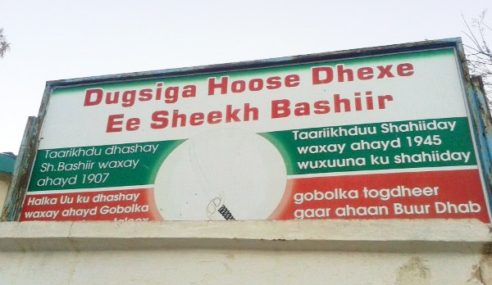 UCID Party discloses illegal land grabbing in Hargeisa