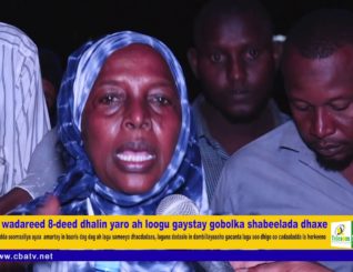 Dil wadareed 8-deed dhalin yaro ah loogu gaystay gobolka shabeelada dhaxe