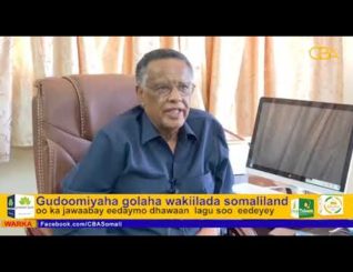 “Faysal Cali garaabe gudoomiye ma sii ahaanayo” – Baashe