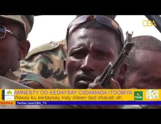 Hay’adda Amnesty oo Eedaymo Usoo Jeedisay Ciidamada Itoobiya