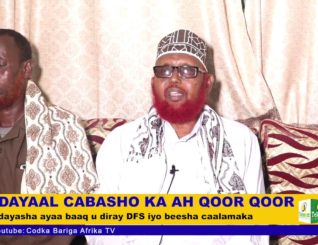 Mid kamid ah beelaha dega Galmudug oo shir jaraa’iid ku qabtay magaalada Mogadishu