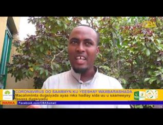 Saamaynta nololeed ee Karona fayras u ku yeeshay macalimiinta dugsiyada Gabiley