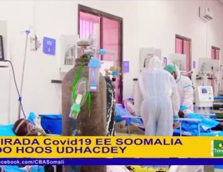 Tirada Dadka Laga Helayo XAnuunka Covid ee Somaliya oo Hoos u Dhacday