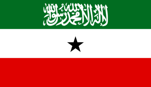 Xukuumadda Somaliland oo dhaliilo ujeedisay  xisbiyada mucaaradka ah