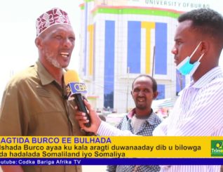 Bulshada Burco oo ka aragti dhiibtay wada hadalada Somaliland iyo Somaliya Ee Jabuuti