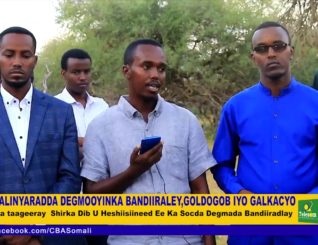 DHALINYARADDA DEGMOOYINKA BANDIIRALEY,GOLDOGOB IYO GALKACYO Ayaa tageeray Shirka Dib U Heshisineed