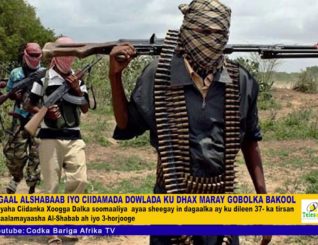 Dagaal Alshabaab Iyo Ciidamada Dowladda Ku Dhax Maray Gobolka Bakool