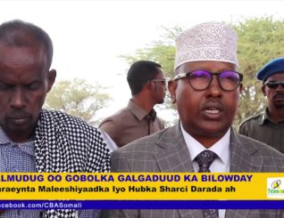 Galmudug Oo Gobolka Galgaduud Ka Bilowday Xaraeynta Maleeshiyaadka Iyo Hubka Sharci Darada ah