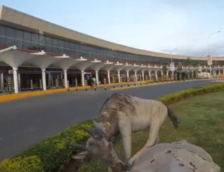 Kenya designs new safety protocols ahead of reving tourism industry