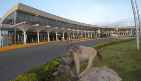 Kenya designs new safety protocols ahead of reving tourism industry