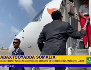 KULANKA FARMAAJO IYO MUUSE BIIXI