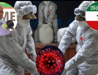 Wasaraada caafimaadka Somaliland Oo Kiisas Badan Oo Coronavirus ah Shaacisay