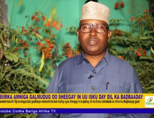 Wasiirka Amniga Galmudug oo ka badbaaday isku day dil