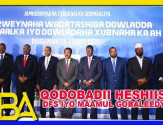 Heshiiskii DFS iyo Dowlad Goboleedyada