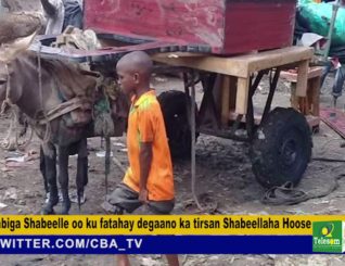 Wabiga Shabeelle oo ku fatahay degaano ka tirsan Shabeellaha Hoose