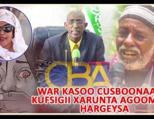 Wasiir Toorno oo ka Hadlay Kiiskii Kufsiga ahaa ee Xarunta Agoomaha Hargeysa