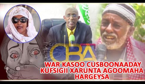 Wasiir Toorno oo ka Hadlay Kiiskii Kufsiga ahaa ee Xarunta Agoomaha Hargeysa