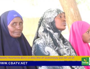 hablaha horumarinta burco oo deeq dhar ah gudoonsiiyay 57 qos oo dan yar ah