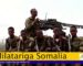 Milatariga Somalia Oo Guul Sheegtay,