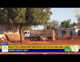 Sarkaal Katirsan Ciidamada Nabad Sugida Soomaaliya Oo Qarax Lagula Eegtay Degmada Guri Ceel