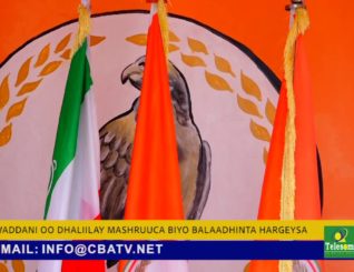WADDANI oo sheegay in la musuqmaasuqay mashruuca biyo balaadhinta Hargeysa
