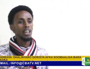 Warbixin: Dhalinyaro u istaagtay inay bulshada baraan qorista Afka Soomaaliga