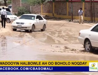 Burburka ka muuqda wadooyinka Halbowlaha u ah Hargeysa & WADDANI oo qaylodhaan diray