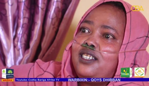 Warbixin: Qoys Dhibban oo ku nool Hargeysa