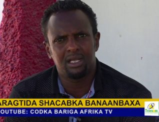 Bulshada ku dhaqan Muqadisho ayaa aragtidooda ka dhiibtay Banaanbaxyada Mucaaradku ka aabaabulayaan