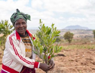 British company pays out $9.7 million to victims of rape and rights abuses in Malawi, Kenya