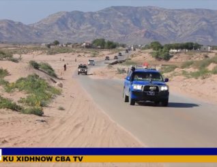 Madaxweynaha Somaliland, Ayaa Waraaqda Aqoonsiga Ka Gudoomay Wakiilka Imaaraadka Carabta