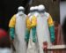 Ebola infects 29, kills 13 in Guinea and DRC: Africa CDC