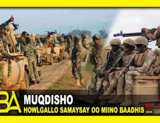 Cidamo Ka Tirsan Kumandooska Danab Oo Ka Sameeyay Degaano Ka Tirsan Mudug