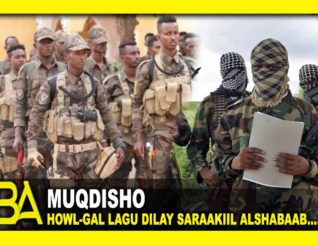 Ciidanka Dowlada Soomaaliya oo Sheegay inay Howl-gal Ku Dileen Saraakiil ka Tirsan alshabaab.