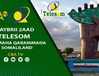 Doorka Telesom iyo Horumarka Waddanka