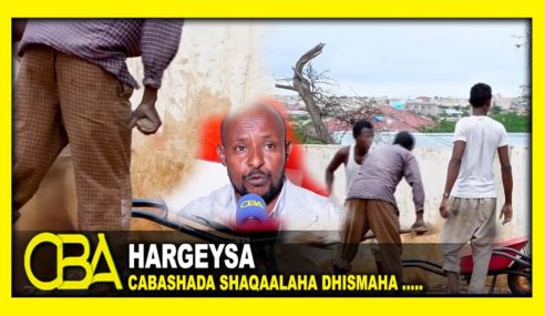 Shaqaalaha dhismaha somaliland oo cabasho ka muujiyey ajaanibta “Afhayeenka ururka dhismaha”