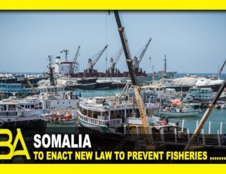 Somalia to enact new law to prevent fisheries from lootersSomalia to enact new law to prevent fisheries from lootersSomalia to enact new law to prevent fisheries from looters