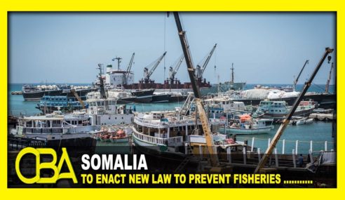 Somalia to enact new law to prevent fisheries from lootersSomalia to enact new law to prevent fisheries from lootersSomalia to enact new law to prevent fisheries from looters