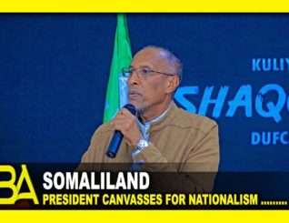 Somaliland president canvasses for nationalism, frowns at anything that could harm the country