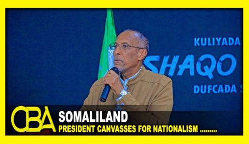 Somaliland president canvasses for nationalism, frowns at anything that could harm the country