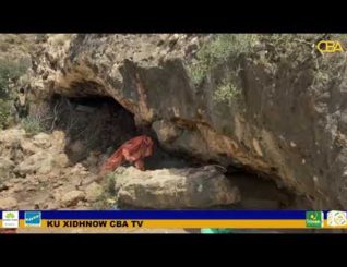 Ciidamada Puntland ayaa hawlgallo ka dhan ah Alshabaab waxaa ay ka fuliyeen Dhulka Buuraleyda