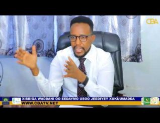 “Waxa La Musuq-maasuqay Hal Milyan Oo Dollar Oo Jaadlayaashu U Qorsheyeen ………