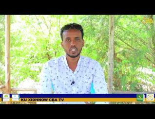 Dagaalka u dhexeeya Soomaalida iyo Canfarta ayaa markale hawada ku shareeray.