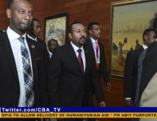 PM Abiy purportedly seeks international support over Tigray war