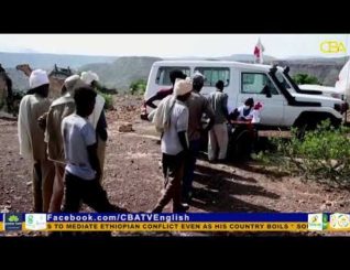 Tigray: AU appeals to Ethiopia to allow delivery of humanitarian aid