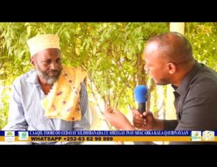 Xildhibaan Budul shacabkii deegaankiisa ayuu kala qaybinaya Caaqil Toori