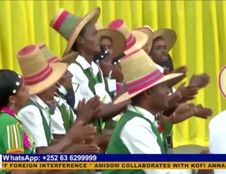 Insight: Ethiopia PM vows to fend off foreign interference