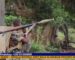 National Army kills al-Shabaab fighters in southern Somalia